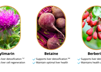 Wealth and Health: A Powerful Partnership